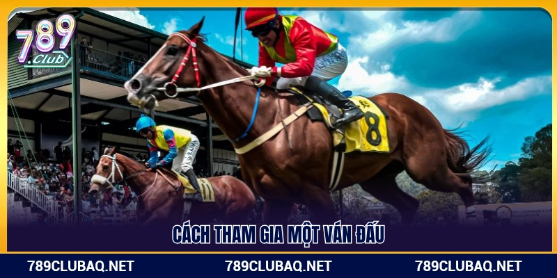 Đua Ngựa 789club – Trò Chơi Tốc Độ Đặt Cược Kịch Tính - WIN782.SBS