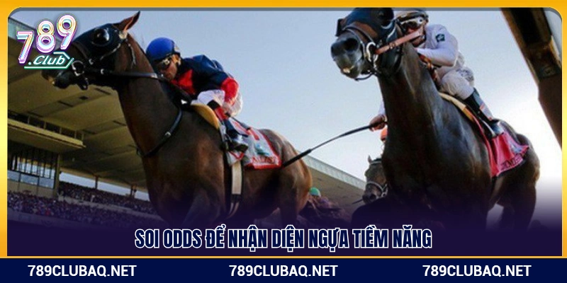 Đua Ngựa 789club – Trò Chơi Tốc Độ Đặt Cược Kịch Tính - WIN782.SBS